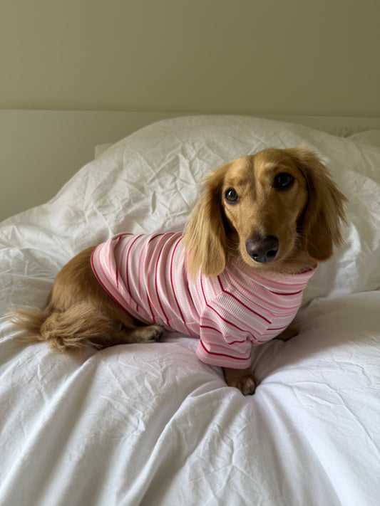 Strawberry Milk Dog Shirt