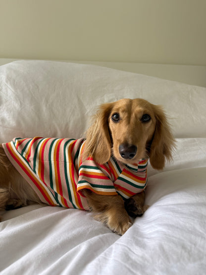 Sunset Soda Dog Shirt