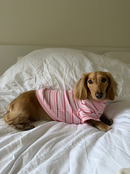 Strawberry Milk Dog Shirt