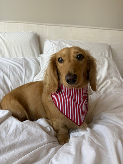 Sweet Cherry Bandana