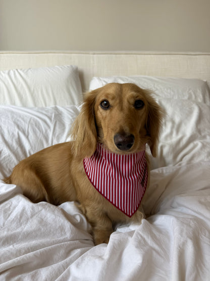 Sweet Cherry Bandana