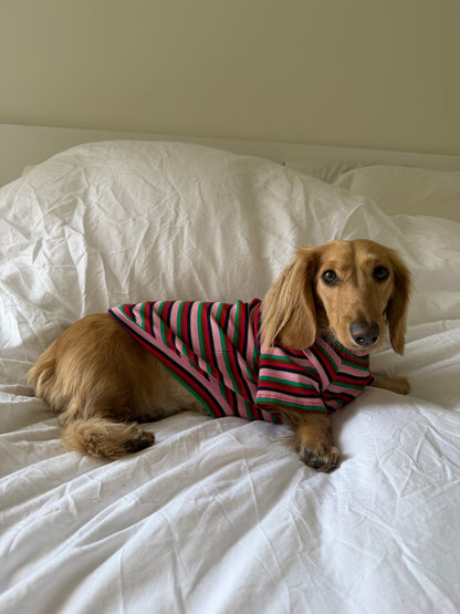 Holiday Pop Dog Shirt