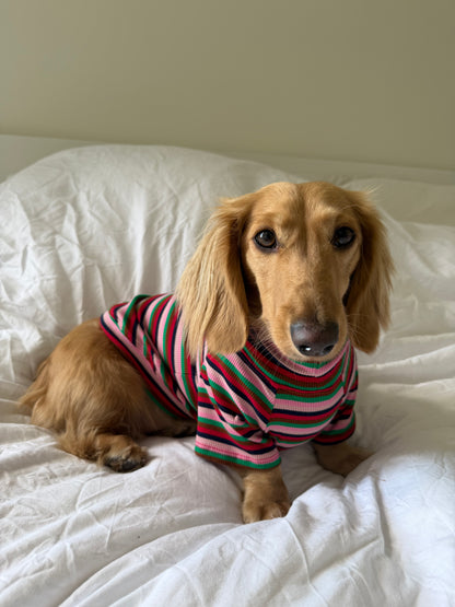 Holiday Pop Dog Shirt