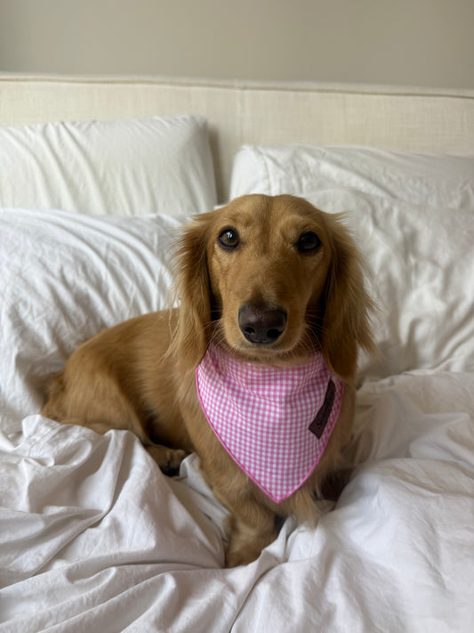 Picnic Pup Bandana
