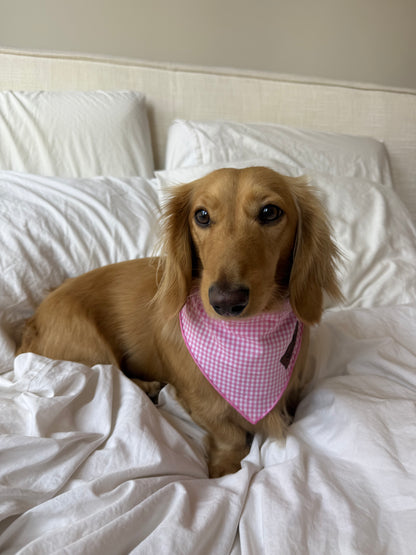 Picnic Pup Bandana