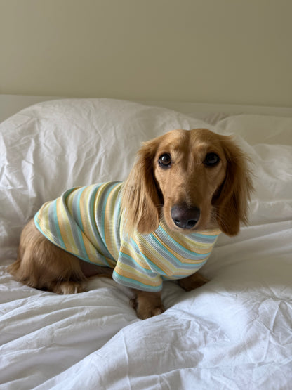 Honeydew Dog Shirt