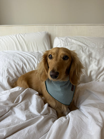 Picnic Pup Bandana
