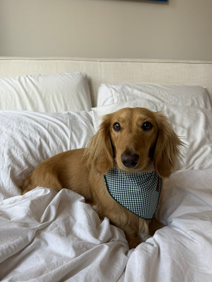 Picnic Pup Bandana