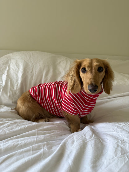Candy Cane Dog Shirt