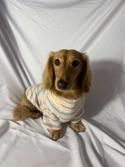 Cotton Candy Days Dog Shirt