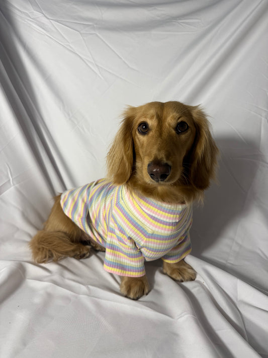 Cotton Candy Days Dog Shirt