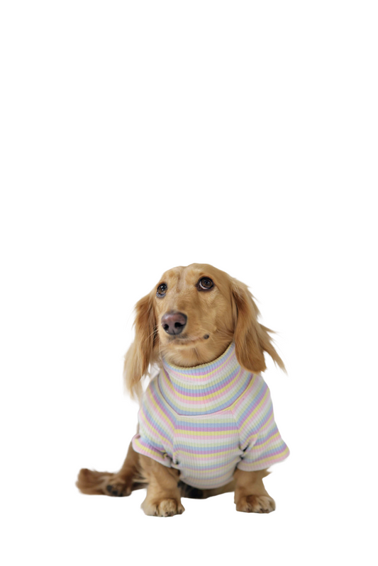 Cotton Candy Days Dog Shirt