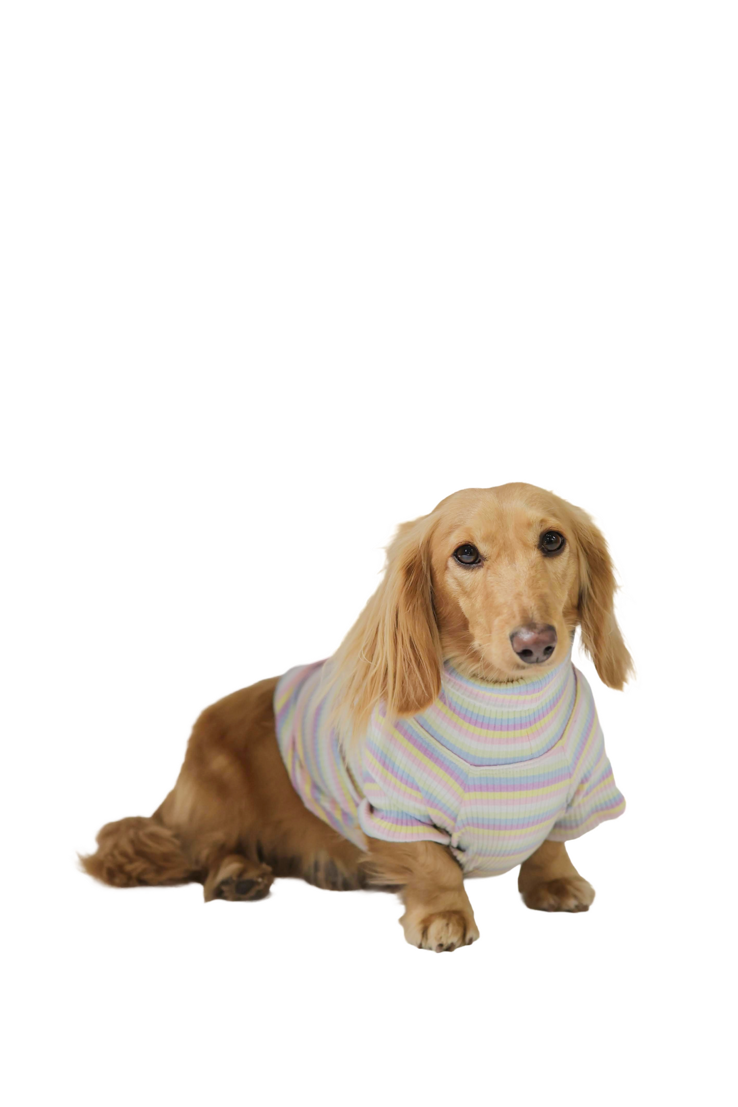 Cotton Candy Days Dog Shirt