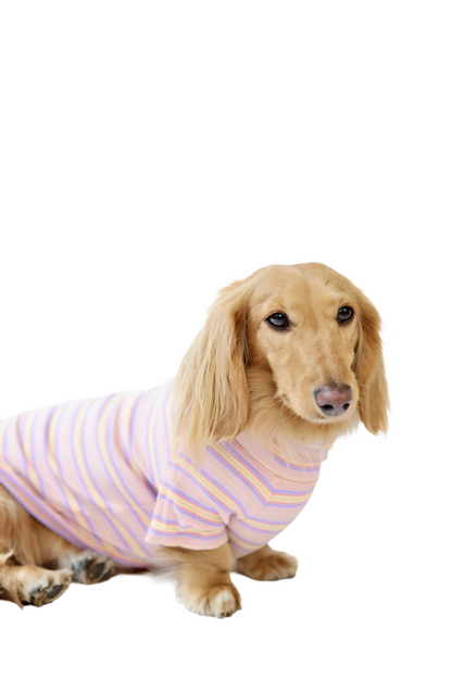 Sunset Sorbet Dog Shirt
