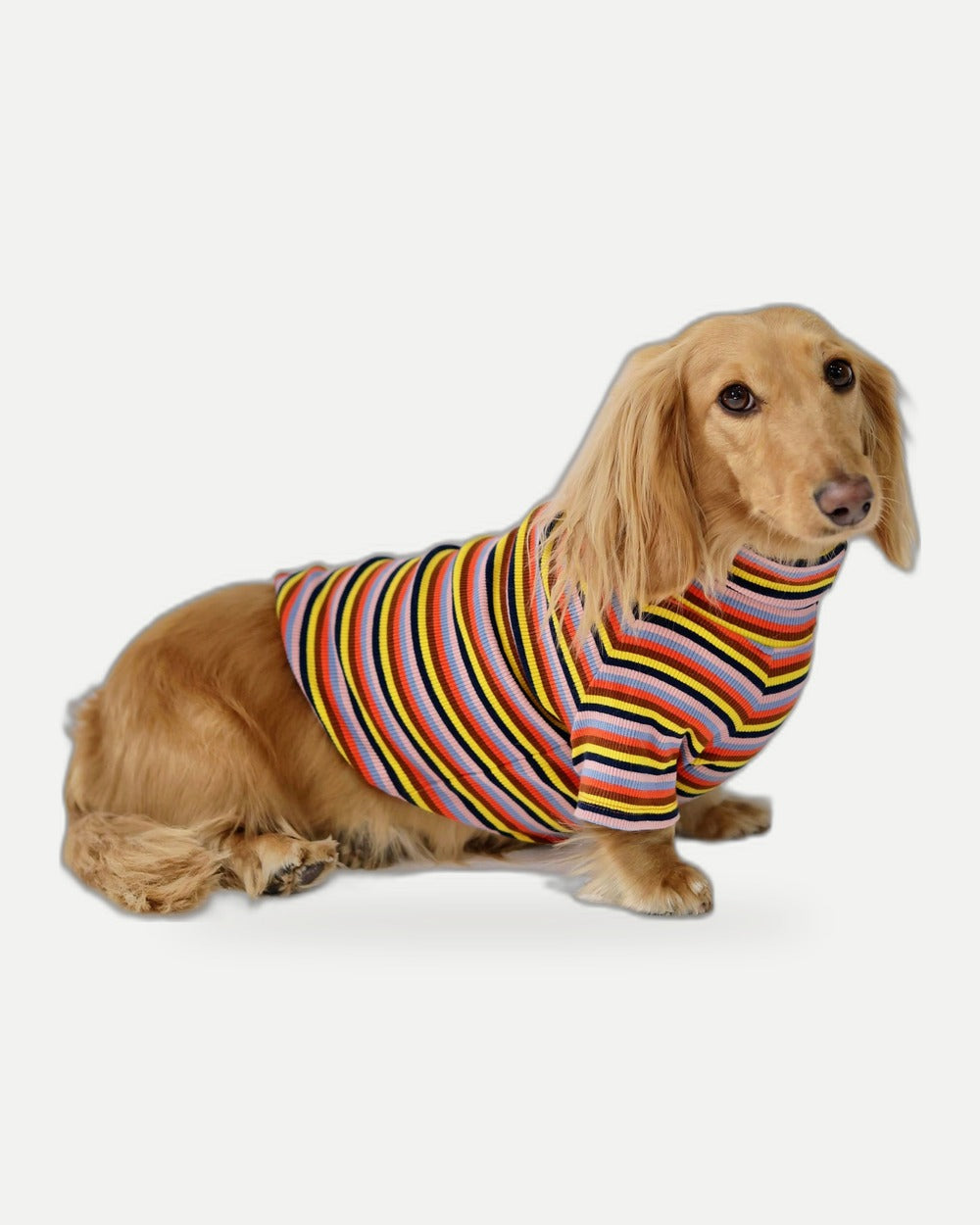 Roller Disco Dog Shirt