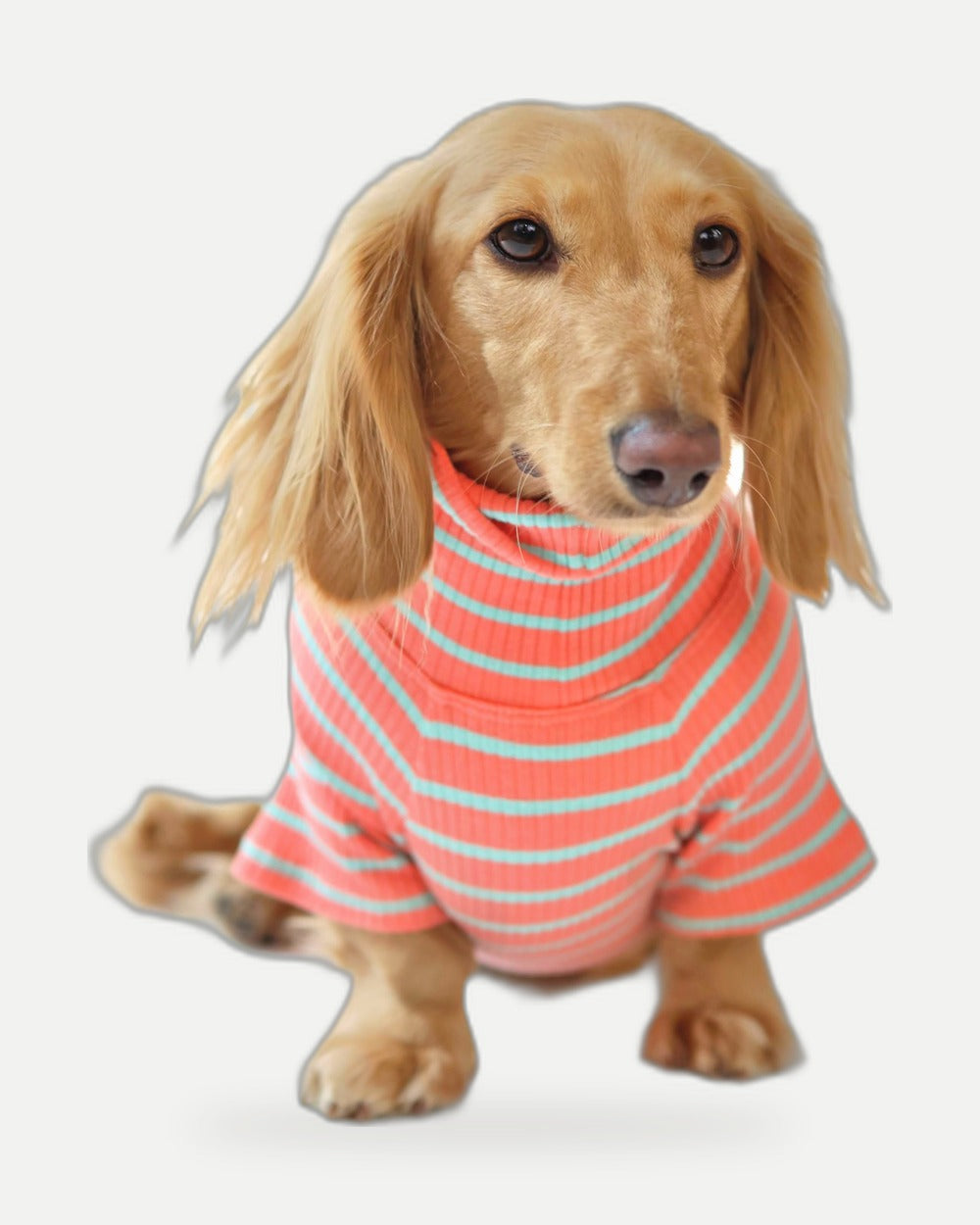 Coral Crush Dog Shirt