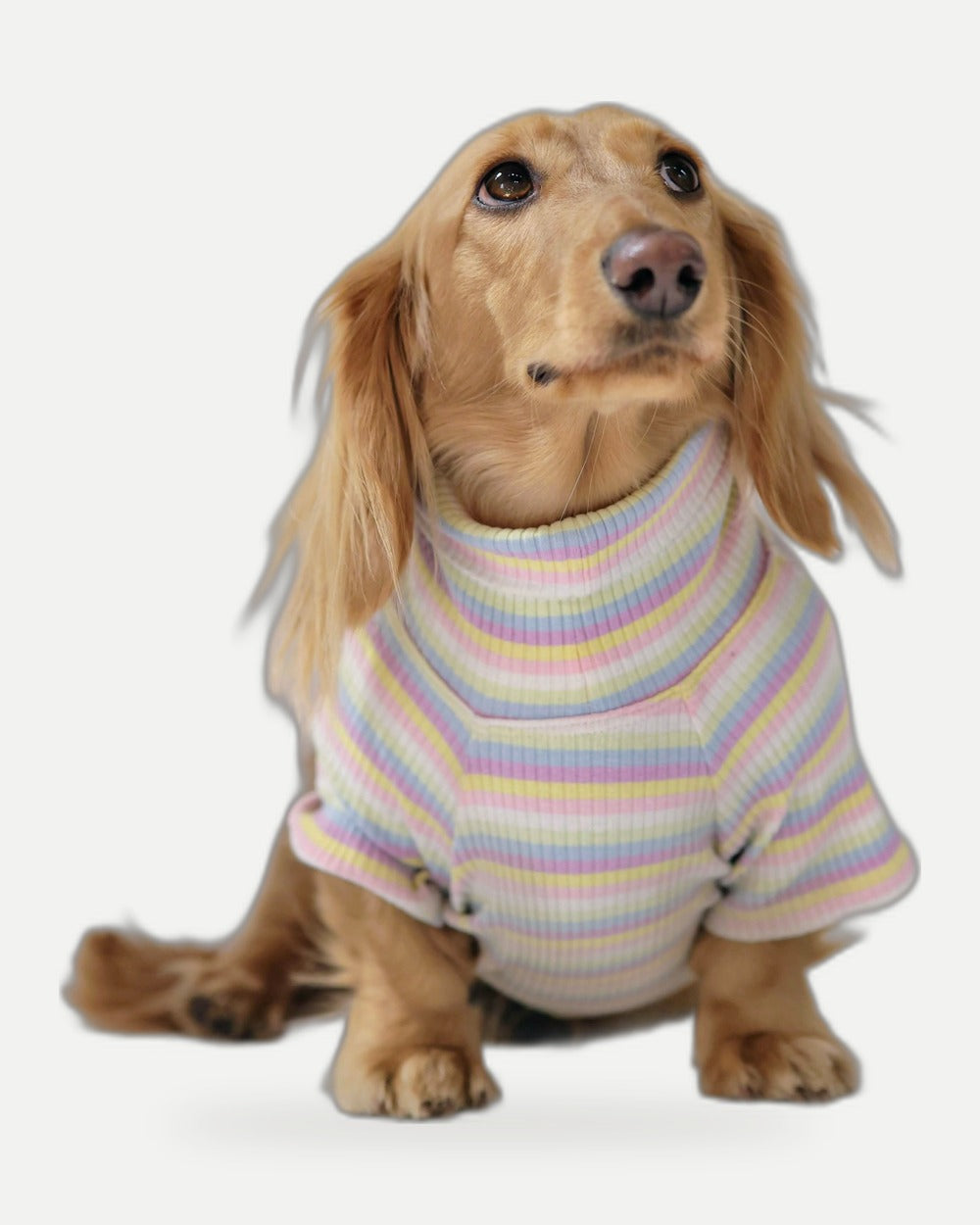 Cotton Candy Days Dog Shirt