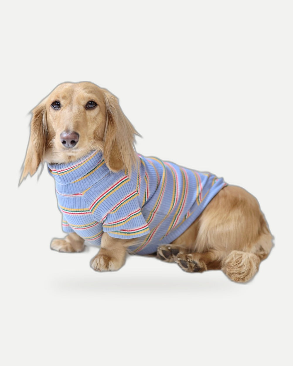 Frosted Berry Dog Shirt