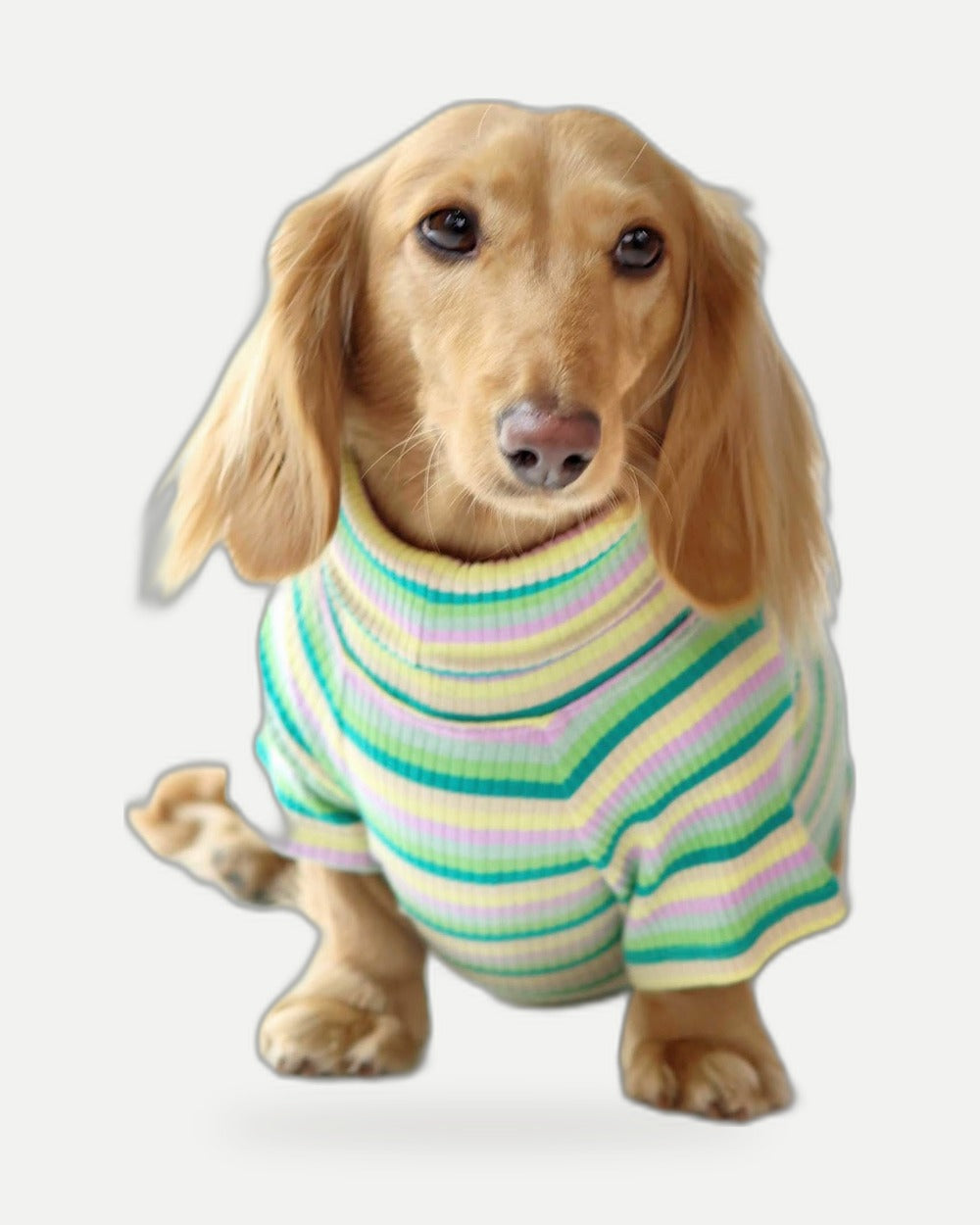 Pistachio Stripe Dog Shirt
