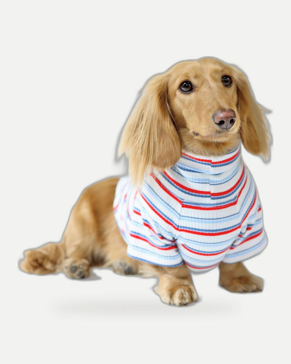Ice Pop Dog Shirt