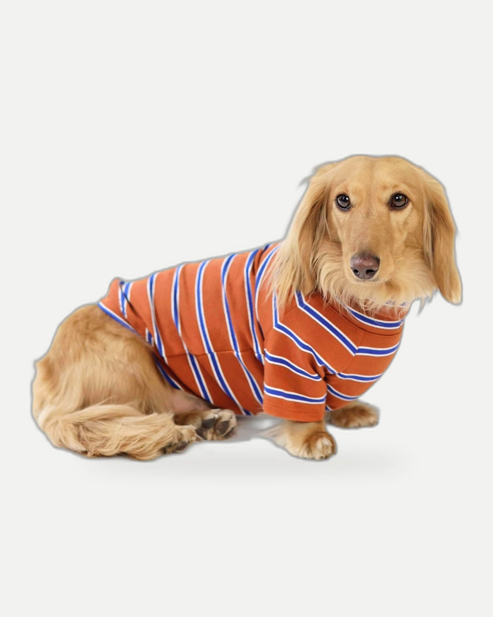 Maple Chestnut Dog Sweater