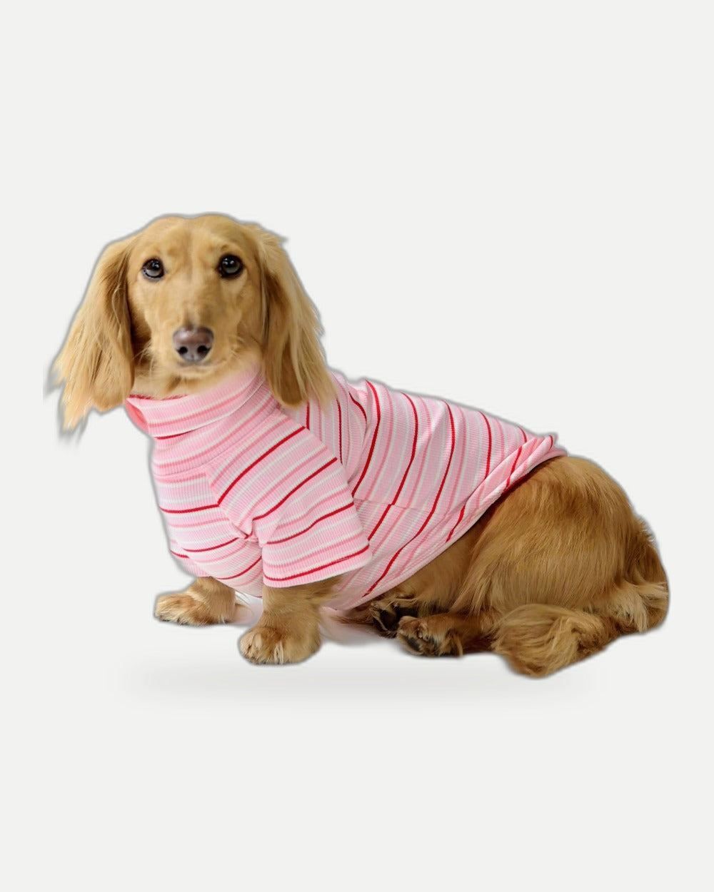 Strawberry Milk Dog Shirt