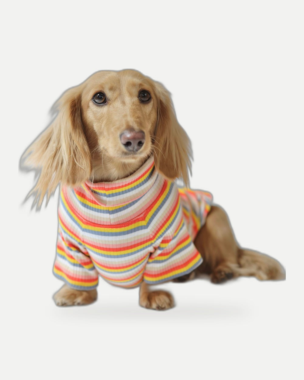Retro Stripe Dog Shirt